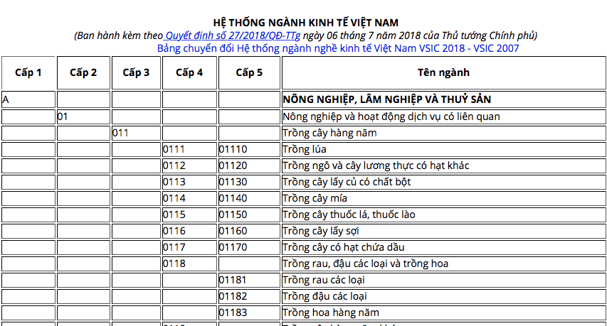 CÁCH GHI MÃ NGÀNH NGHỀ KINH DOANH TRONG ĐĂNG KÝ DOANH NGHIỆP